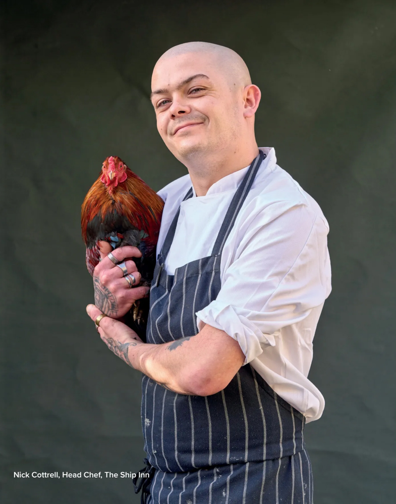 nick_chicken